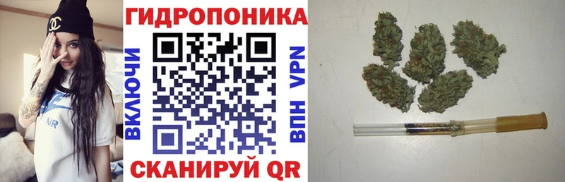 цена   Боготол  МАРИХУАНА гибрид 